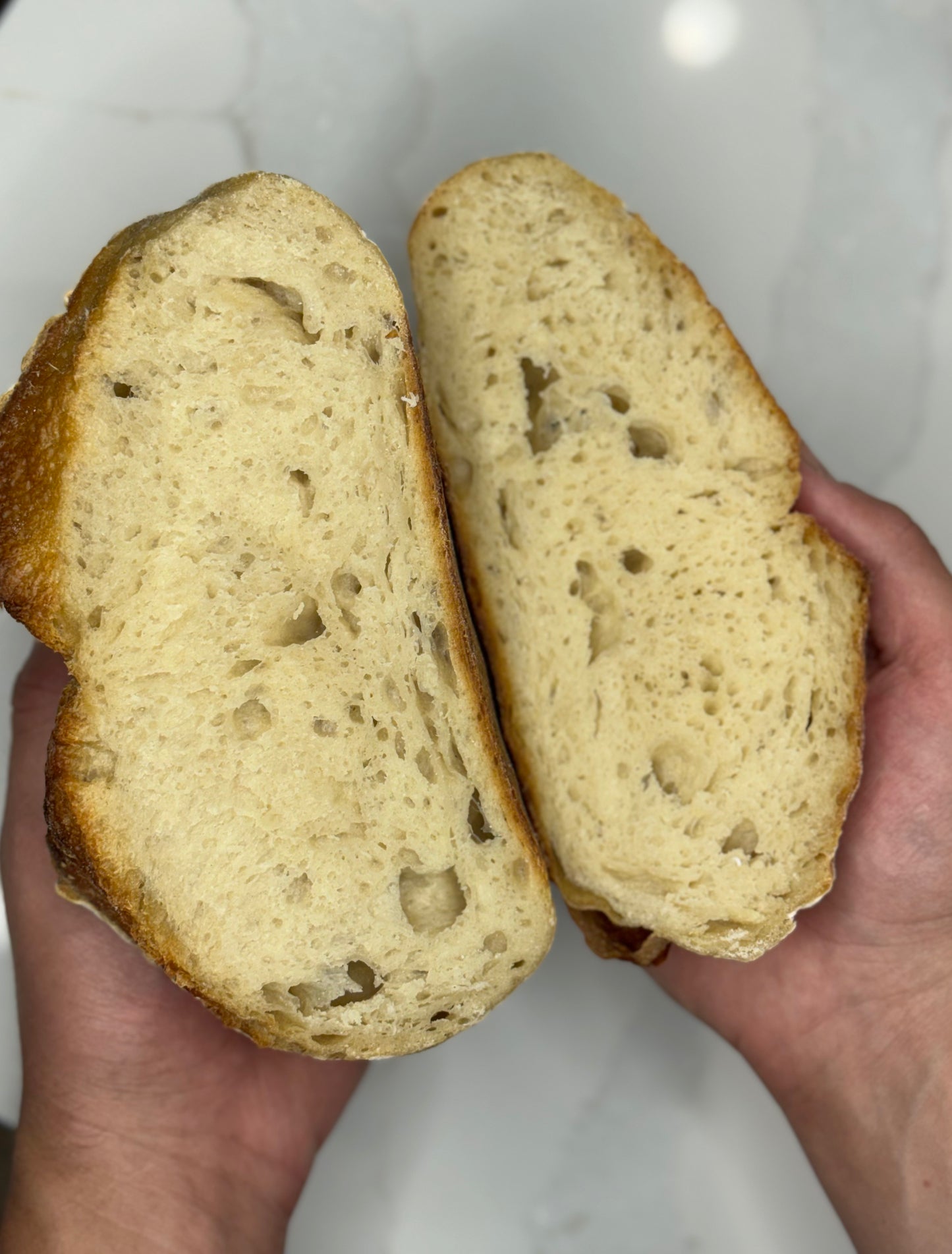 Organic Sourdough Round